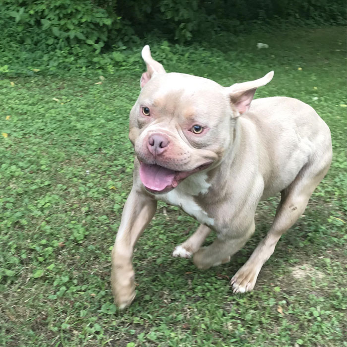 30 Things People Considered ‘Normal’ While Growing Up, Only To Find Out They’re Actually Weird (New Posts)