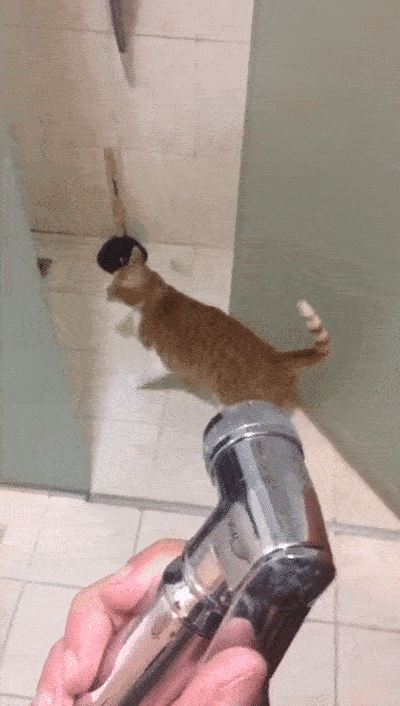 Budz Gets The Hose Again