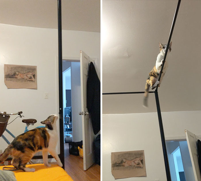 Why Is She Like This?