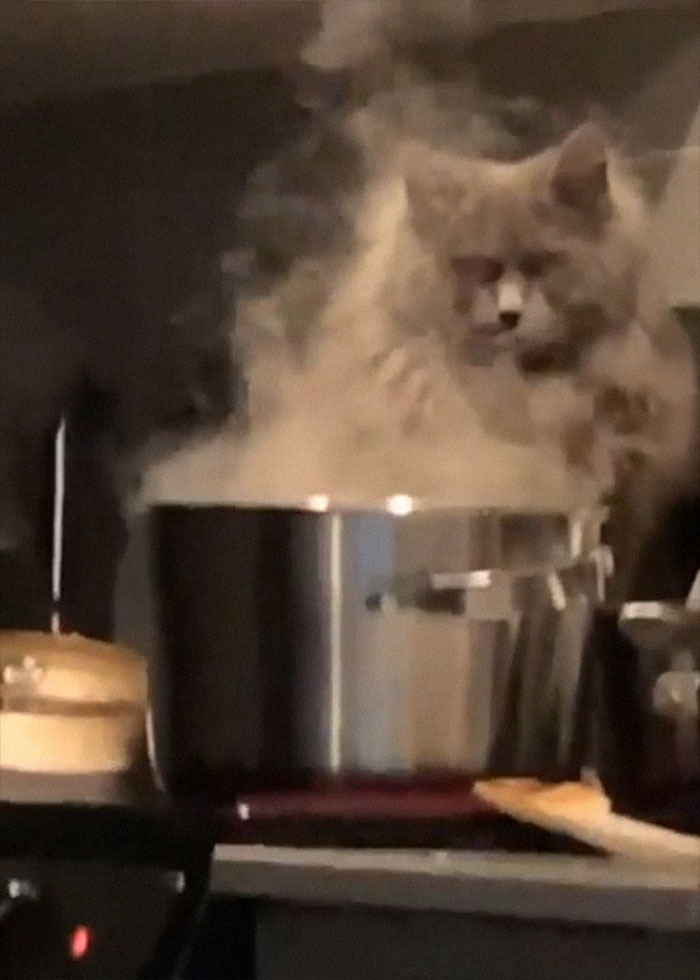 That’s A Disney Movie Villain If I’ve Ever Seen One