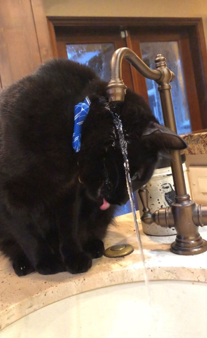 He Really Likes The Faucet, But He’s Really Bad At It