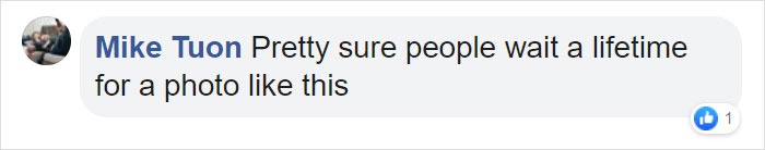 "I Could Wait 6 Years For A Moment Like This": Wildlife Photographer Waits 6 Days For A Perfect Leopard And A Black Panther Shot