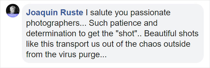 "I Could Wait 6 Years For A Moment Like This": Wildlife Photographer Waits 6 Days For A Perfect Leopard And A Black Panther Shot "I Could Wait 6 Years For A Moment Like This": Wildlife Photographer Waits 6 Days For A Perfect Leopard And A Black Panther Shot