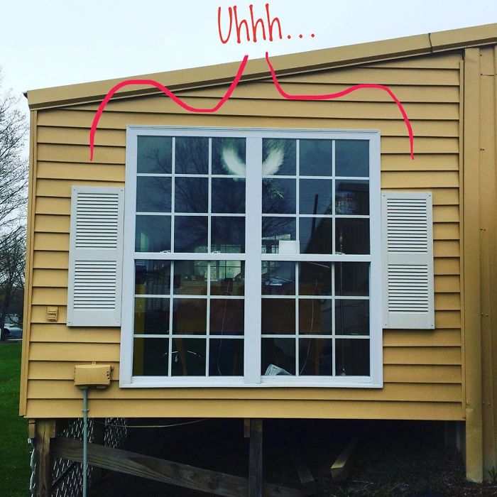 Window-Shutters-Blinds-Fails-The-Craftsman-Blog