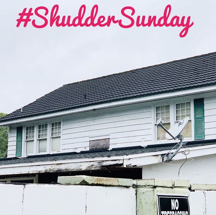 Window-Shutters-Blinds-Fails-The-Craftsman-Blog