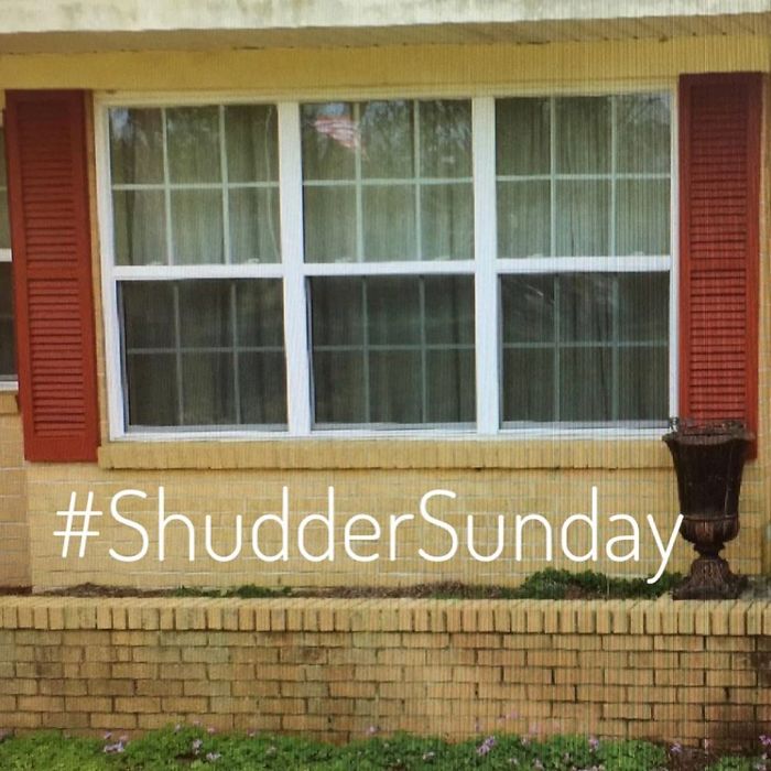 Window-Shutters-Blinds-Fails-The-Craftsman-Blog