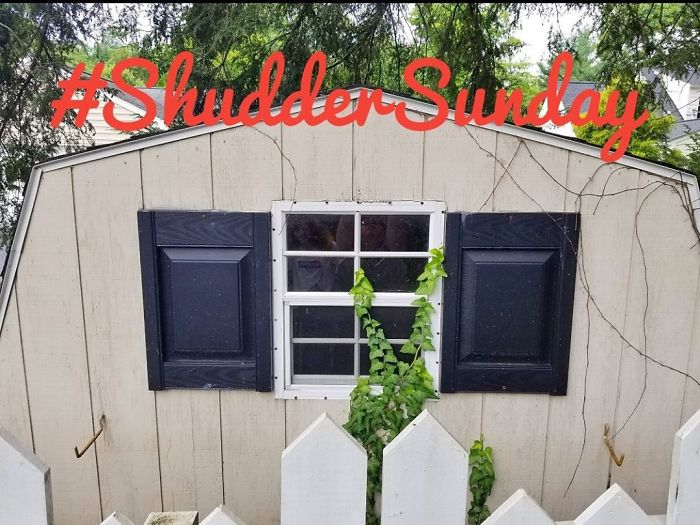 Window-Shutters-Blinds-Fails-The-Craftsman-Blog