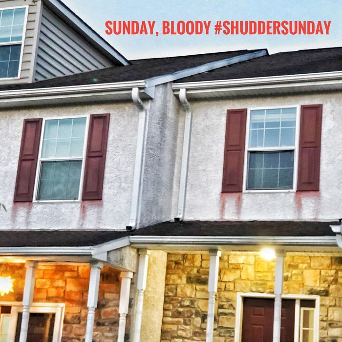 Window-Shutters-Blinds-Fails-The-Craftsman-Blog