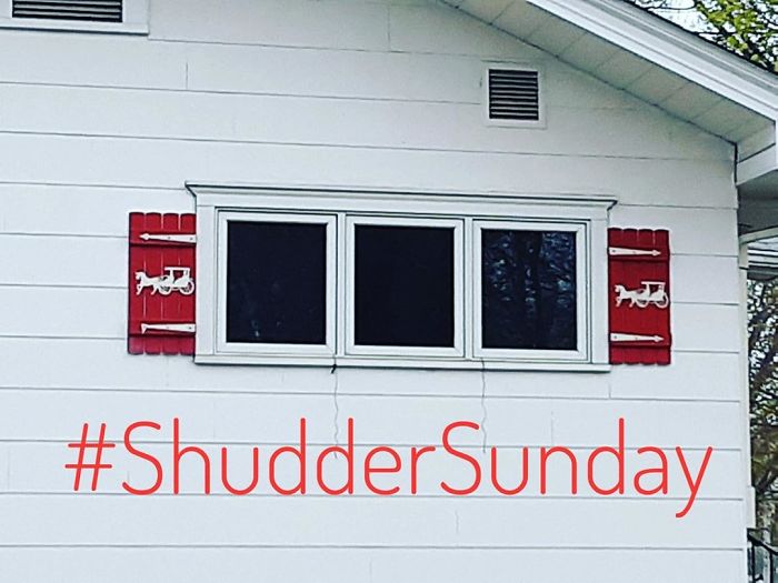 Window-Shutters-Blinds-Fails-The-Craftsman-Blog