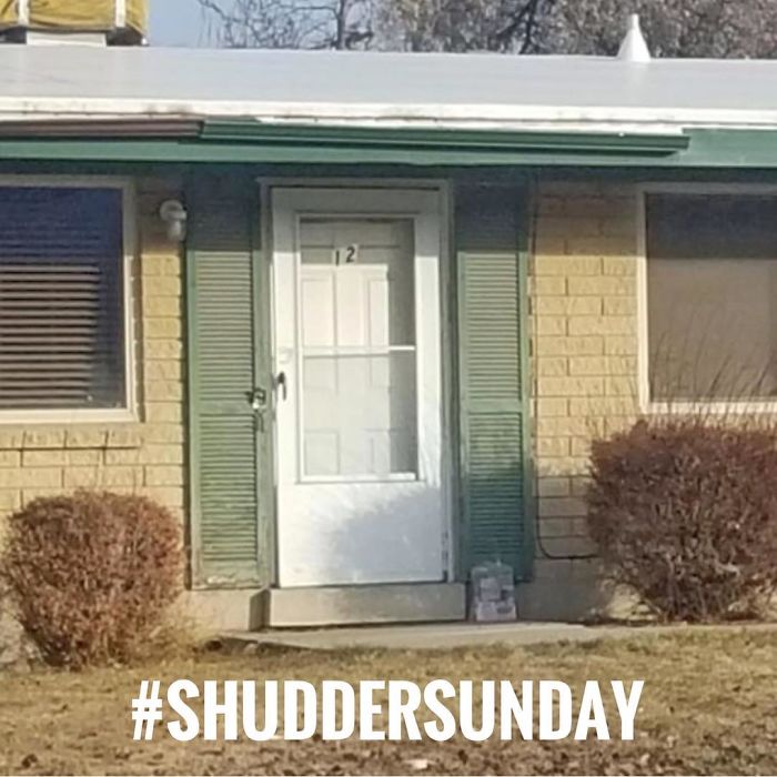 Window-Shutters-Blinds-Fails-The-Craftsman-Blog