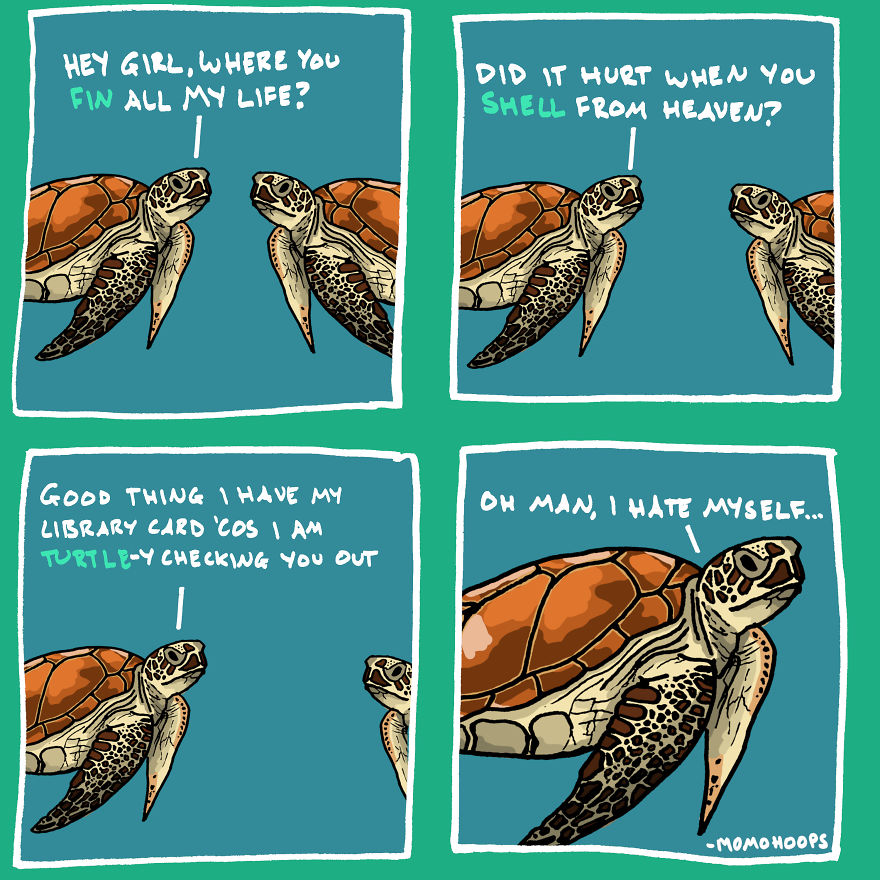 Turtle-Y