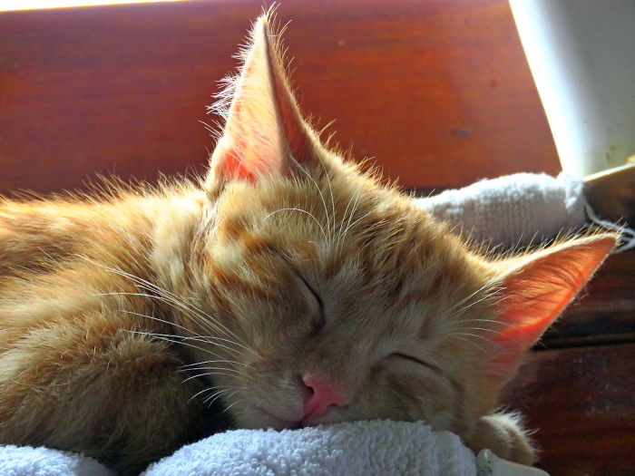 Milenko At 4 Months, Only Then He Slept So Peacefully. My Sweet Baby!