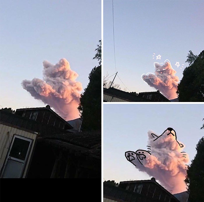 This Cloud Looks Like A Cat, And A Dog.