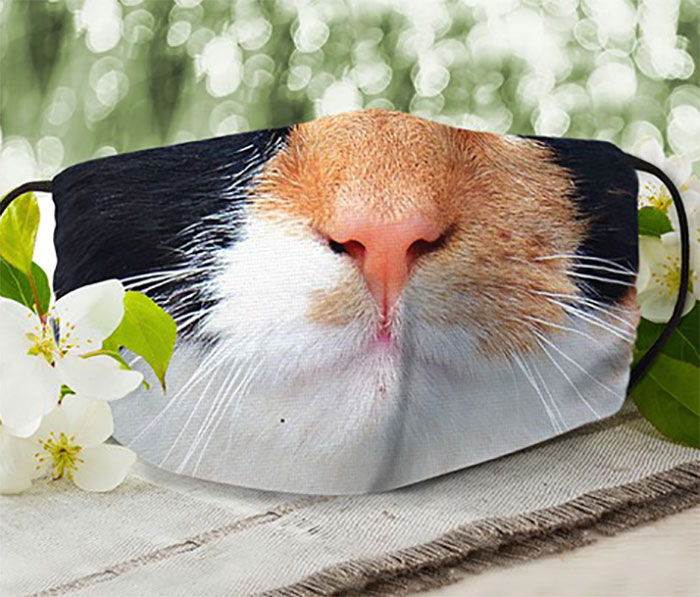 Realistic-Cat-Face-Masks