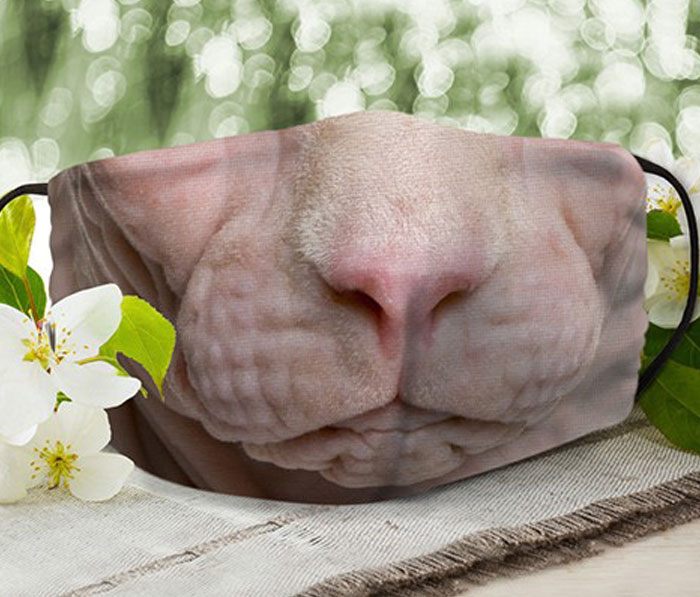 Realistic-Cat-Face-Masks