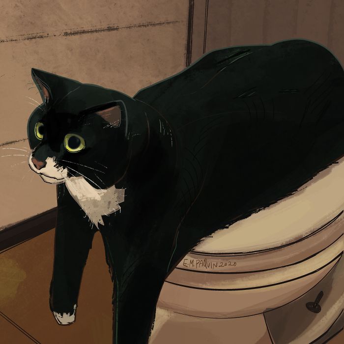 Drawing-Cats-Everyday-Em-Paquin