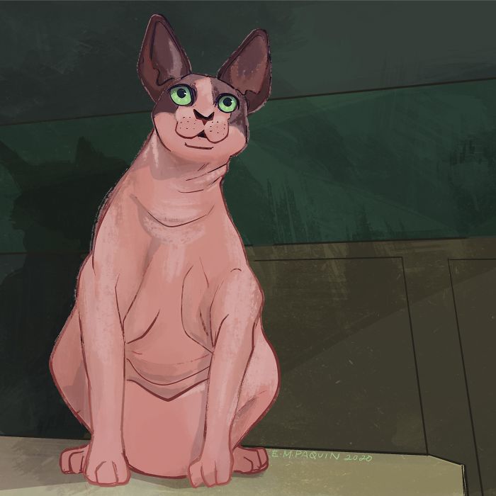 Drawing-Cats-Everyday-Em-Paquin