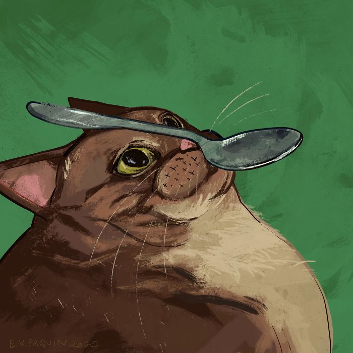 Drawing-Cats-Everyday-Em-Paquin