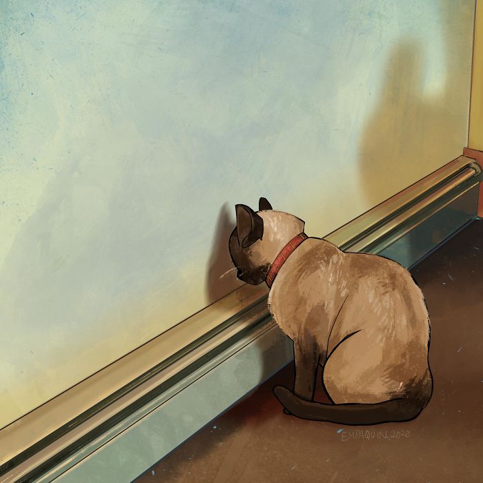 Drawing-Cats-Everyday-Em-Paquin