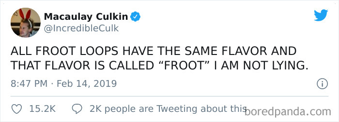 Funny-Tweets-Macualay-Culkin