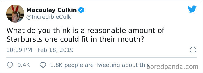 Funny-Tweets-Macualay-Culkin