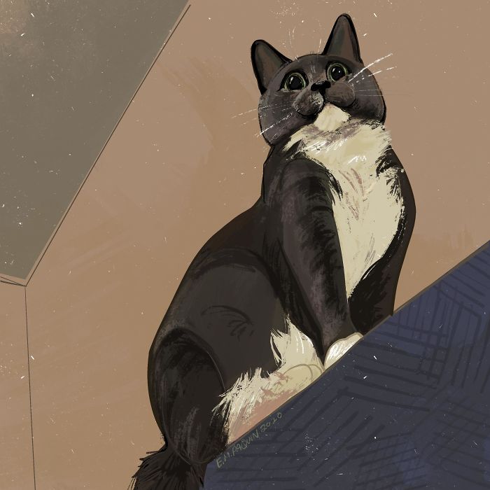 Drawing-Cats-Everyday-Em-Paquin