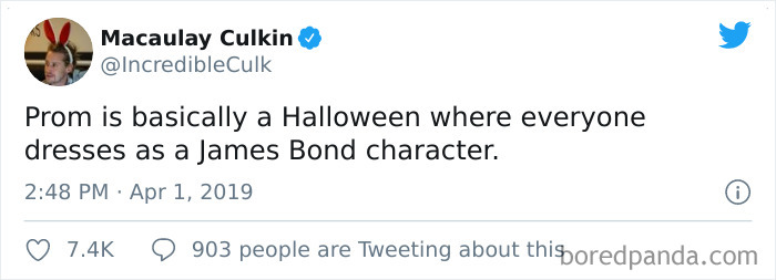 Funny-Tweets-Macualay-Culkin