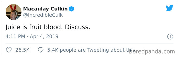 Funny-Tweets-Macualay-Culkin