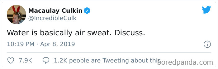 Funny-Tweets-Macualay-Culkin