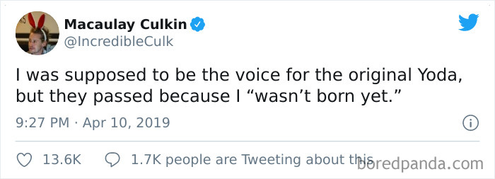 Funny-Tweets-Macualay-Culkin