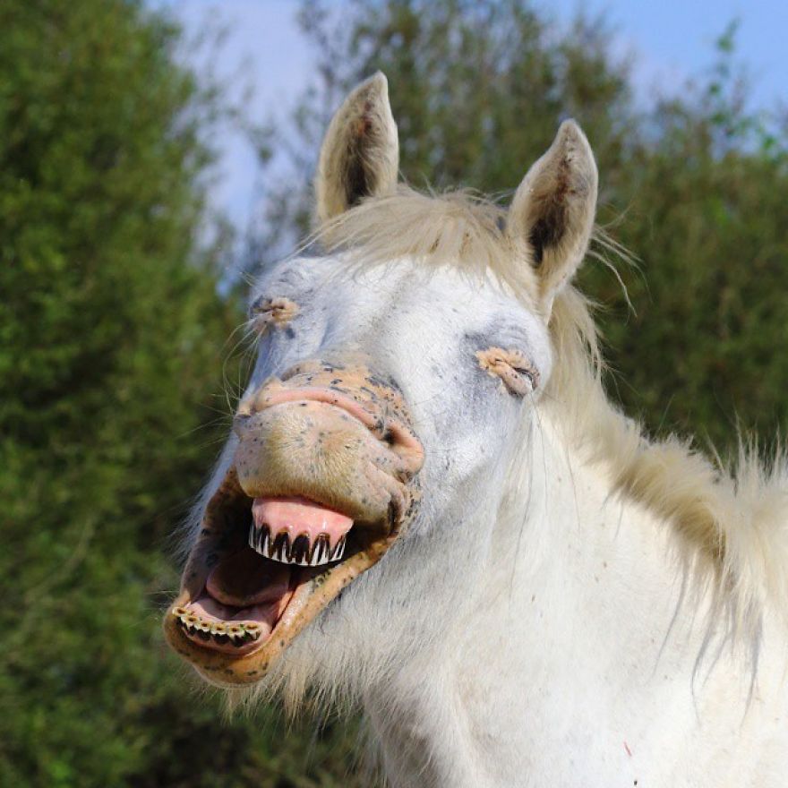 This Russian Photographer Travels To Dangerous Places To Show The Beauty Of Wildlife