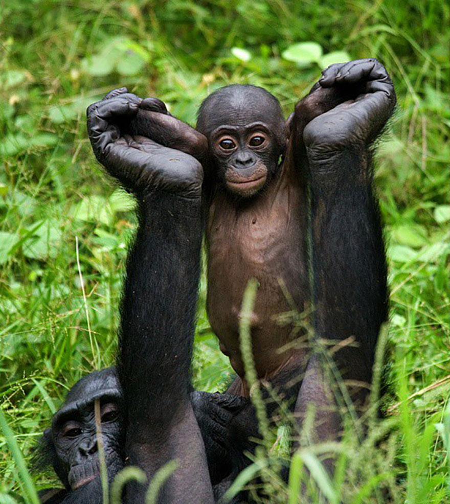 This Russian Photographer Travels To Dangerous Places To Show The Beauty Of Wildlife