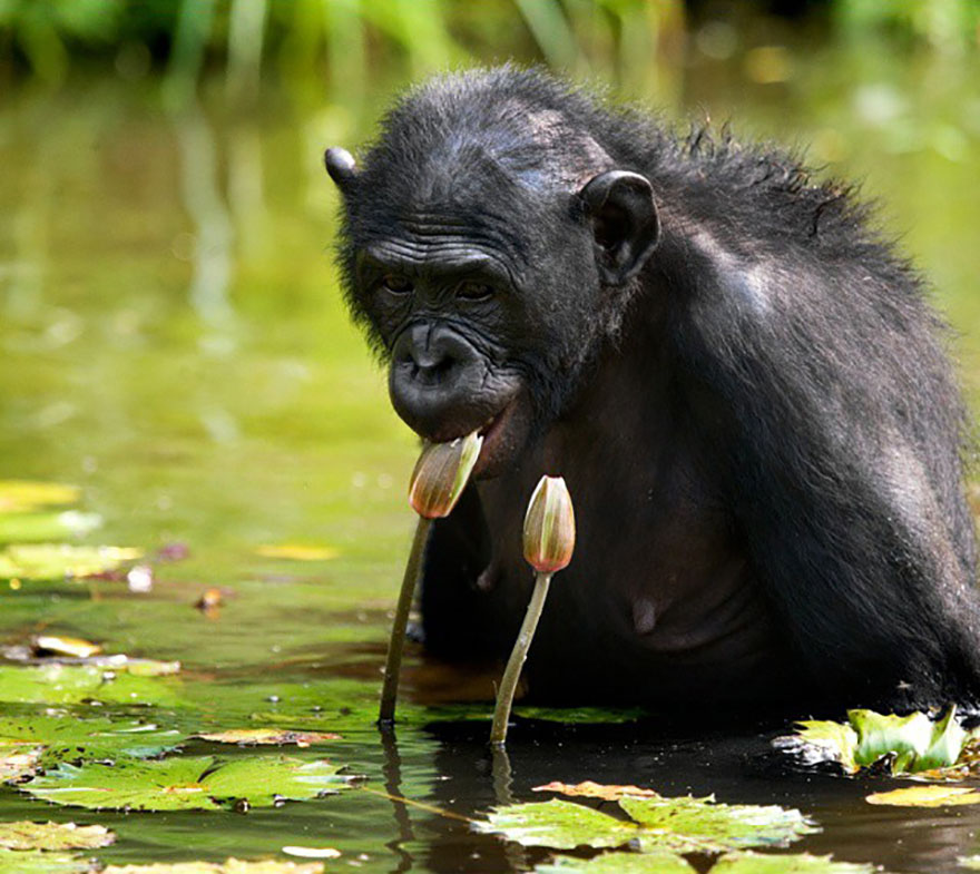 This Russian Photographer Travels To Dangerous Places To Show The Beauty Of Wildlife