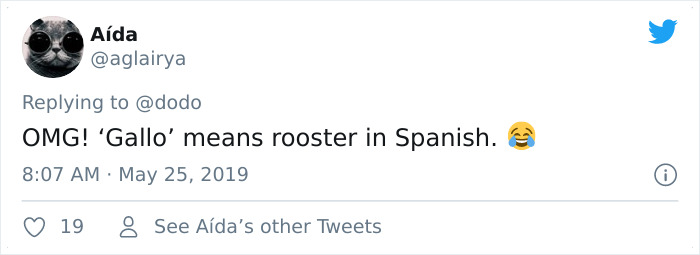 Abandoned Rooster Randomly Shows Up At Auto Shop And Decides He "Works" Here Now Abandoned Rooster Randomly Shows Up At Auto Shop And Decides He "Works" Here Now