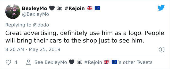Abandoned Rooster Randomly Shows Up At Auto Shop And Decides He "Works" Here Now Abandoned Rooster Randomly Shows Up At Auto Shop And Decides He "Works" Here Now