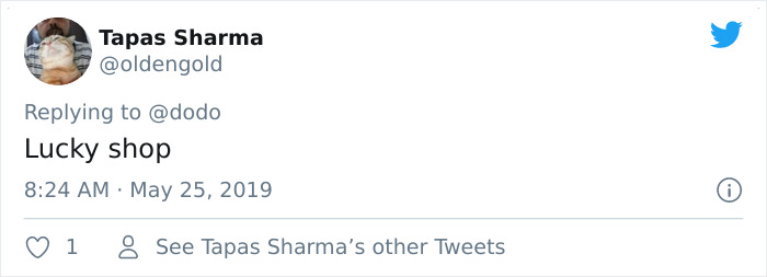 Abandoned Rooster Randomly Shows Up At Auto Shop And Decides He "Works" Here Now Abandoned Rooster Randomly Shows Up At Auto Shop And Decides He "Works" Here Now