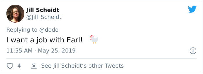 Abandoned Rooster Randomly Shows Up At Auto Shop And Decides He "Works" Here Now Abandoned Rooster Randomly Shows Up At Auto Shop And Decides He "Works" Here Now