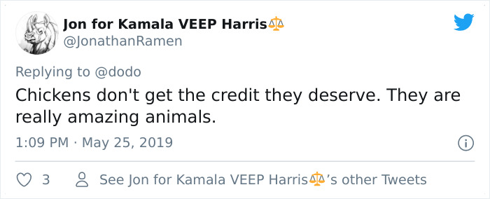 Abandoned Rooster Randomly Shows Up At Auto Shop And Decides He "Works" Here Now Abandoned Rooster Randomly Shows Up At Auto Shop And Decides He "Works" Here Now