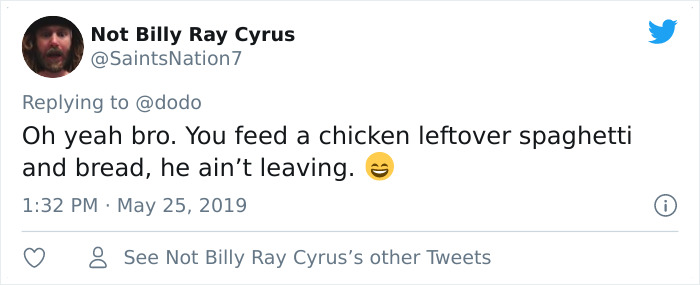 Abandoned Rooster Randomly Shows Up At Auto Shop And Decides He "Works" Here Now Abandoned Rooster Randomly Shows Up At Auto Shop And Decides He "Works" Here Now