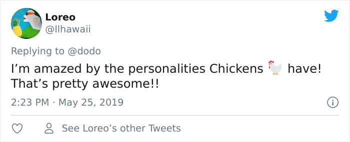 Abandoned Rooster Randomly Shows Up At Auto Shop And Decides He "Works" Here Now Abandoned Rooster Randomly Shows Up At Auto Shop And Decides He "Works" Here Now