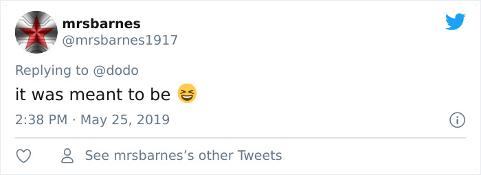 Abandoned Rooster Randomly Shows Up At Auto Shop And Decides He "Works" Here Now Abandoned Rooster Randomly Shows Up At Auto Shop And Decides He "Works" Here Now