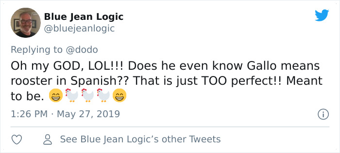 Abandoned Rooster Randomly Shows Up At Auto Shop And Decides He "Works" Here Now Abandoned Rooster Randomly Shows Up At Auto Shop And Decides He "Works" Here Now