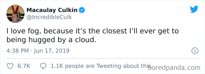 Funny-Tweets-Macualay-Culkin