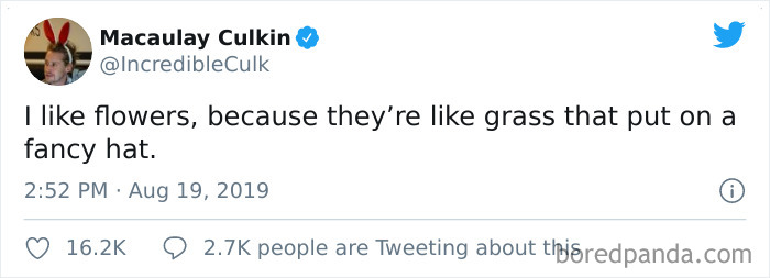 Funny-Tweets-Macualay-Culkin