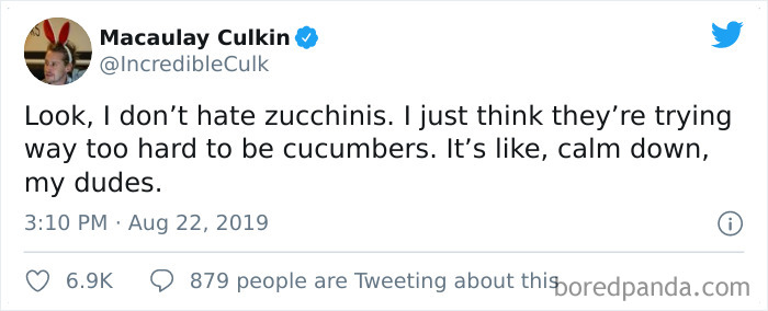 Funny-Tweets-Macualay-Culkin