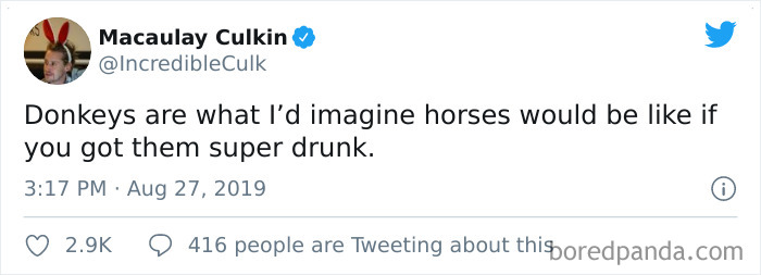 Funny-Tweets-Macualay-Culkin