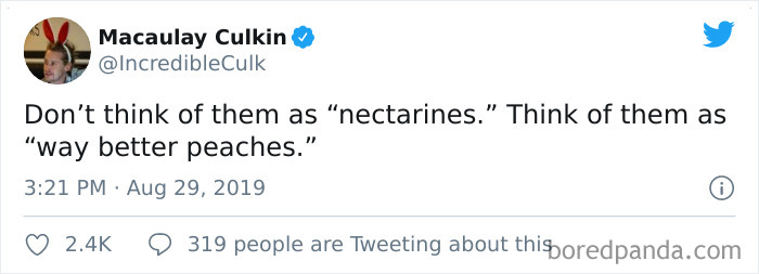 Funny-Tweets-Macualay-Culkin