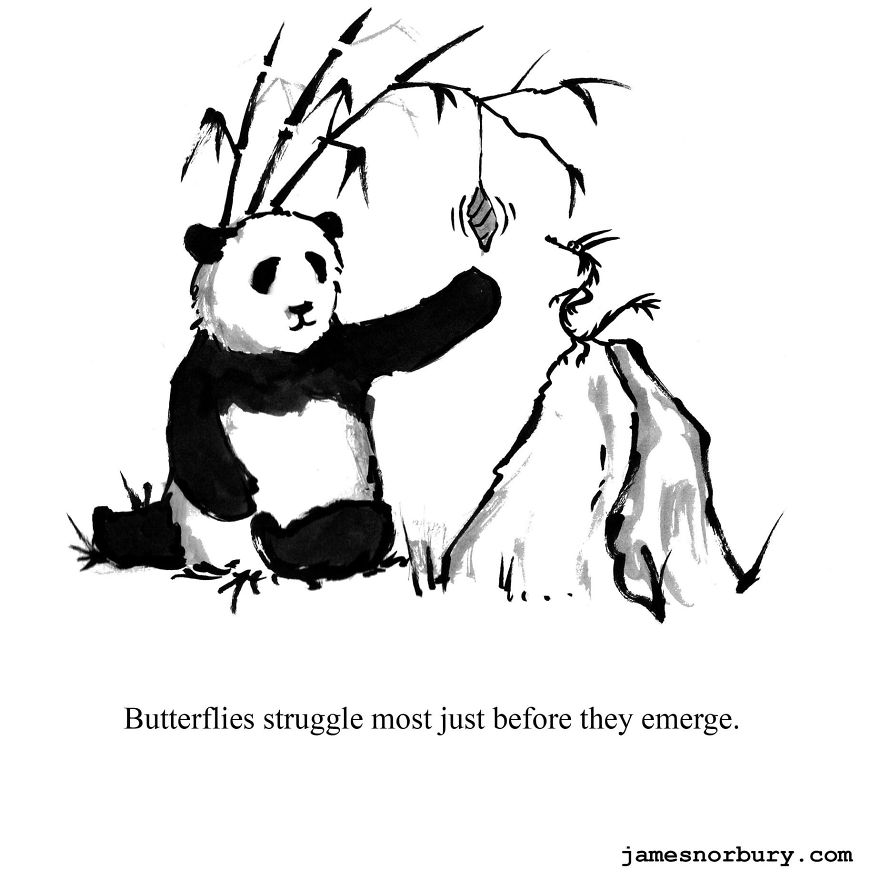 I Draw Dragons & Pandas To Spread Happiness