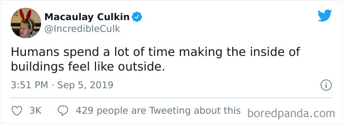 Funny-Tweets-Macualay-Culkin