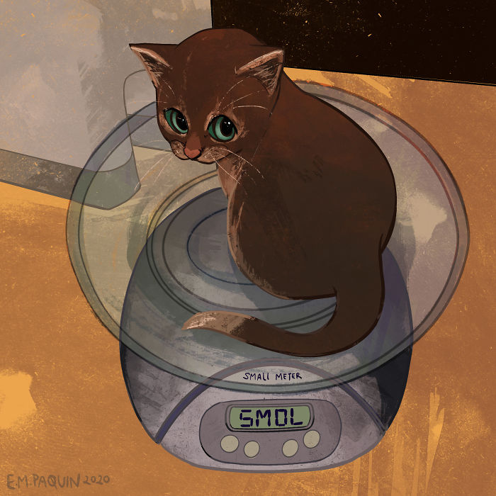 Drawing-Cats-Everyday-Em-Paquin